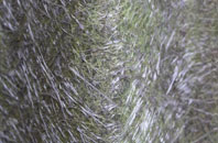 Bethany fibreglass roof work